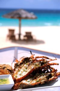 Crayfish